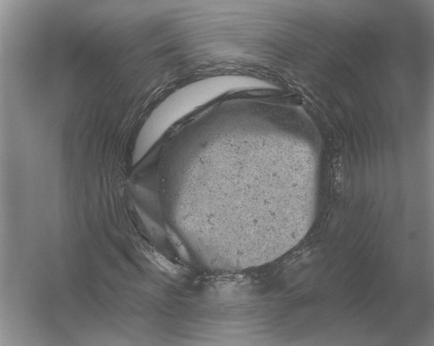 X0000054380916200508191908