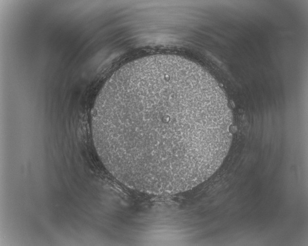 X0000054380918200508191908