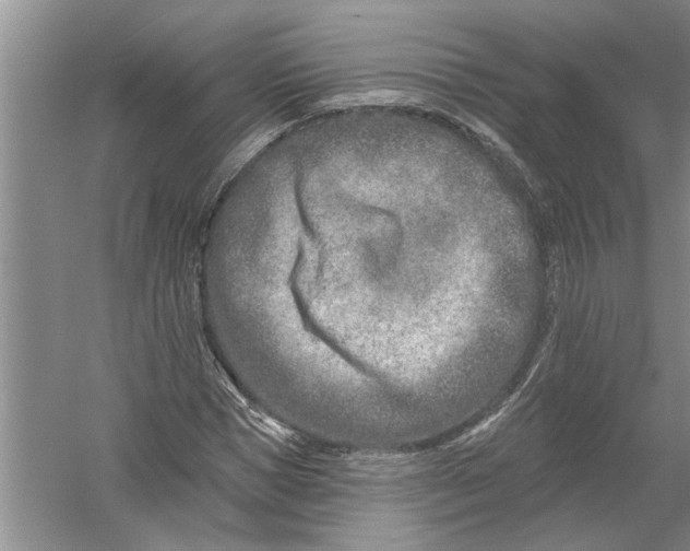 X0000054380921200508191908