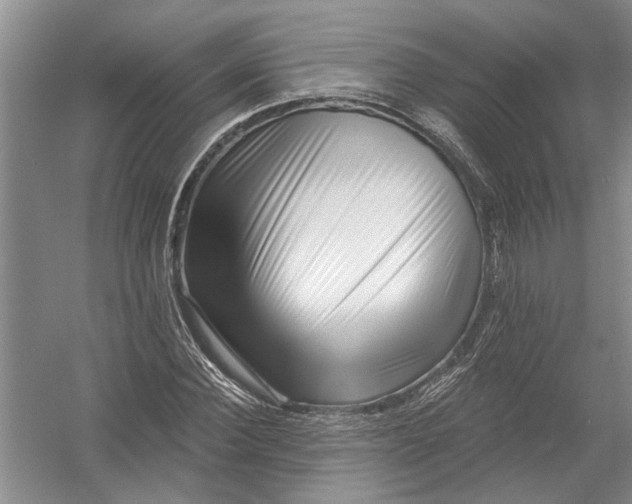 X0000054380924200508191908