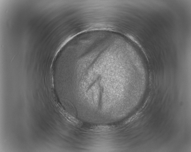 X0000054380925200508191909