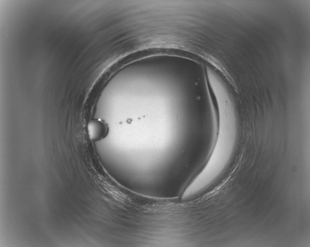 X0000054380926200508191909