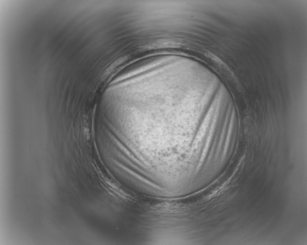 X0000054380929200508191909