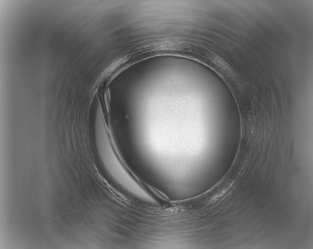 X0000054380930200508191909