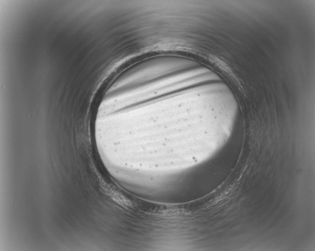 X0000054380934200508191909