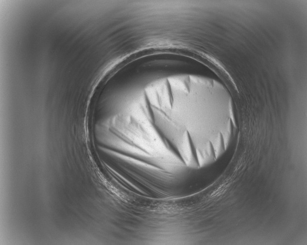 X0000054380935200508191909