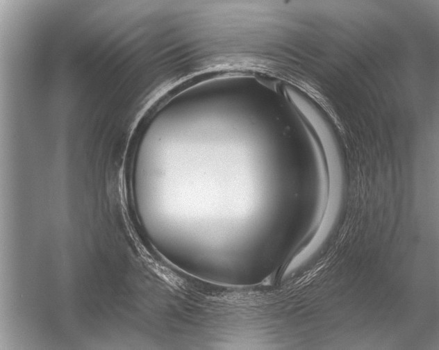 X0000054380936200508191909