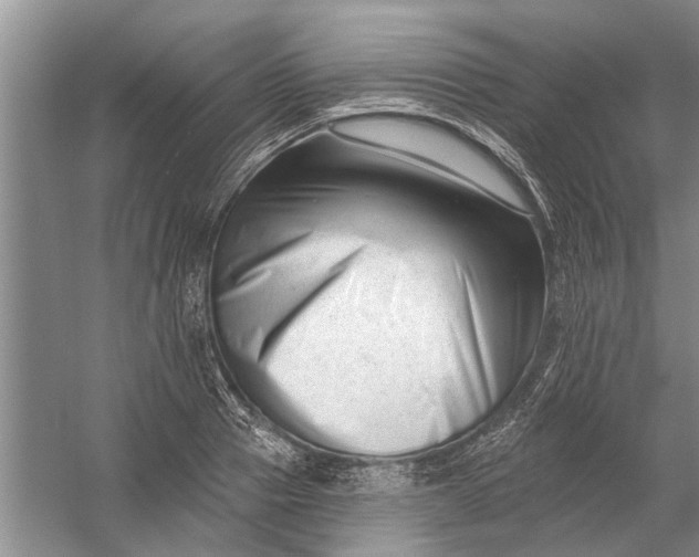 X0000054380937200508191909