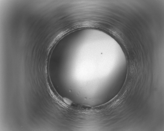 X0000054380938200508191909