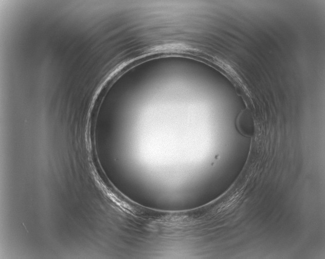 X0000054380939200508191909