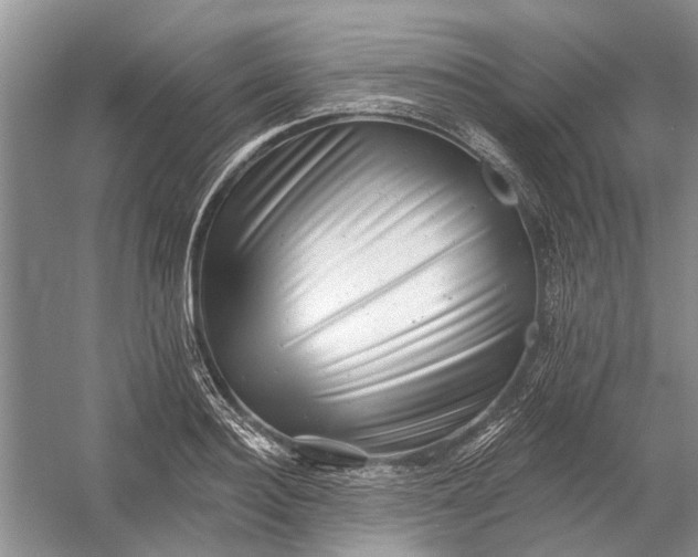 X0000054380940200508191909