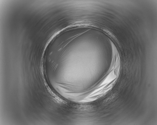 X0000054380941200508191909