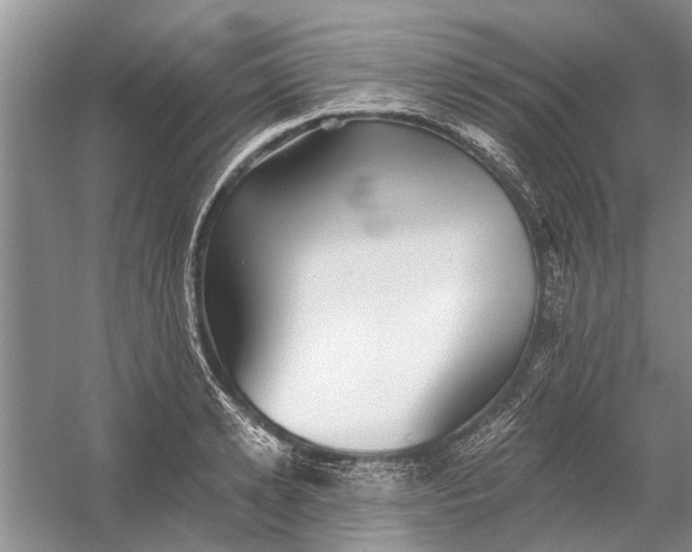 X0000054380942200508191909