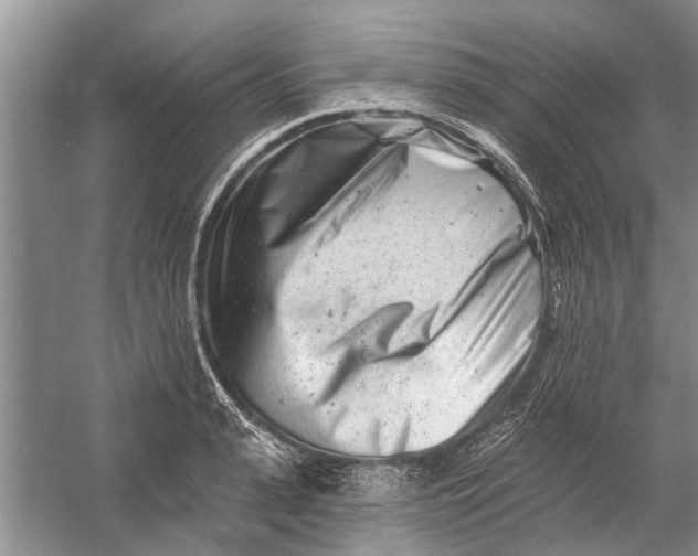 X0000054380943200508191909