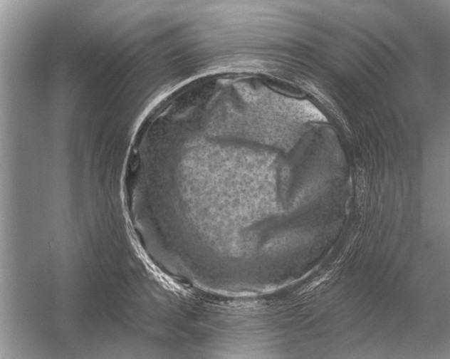 X0000054380944200508191909