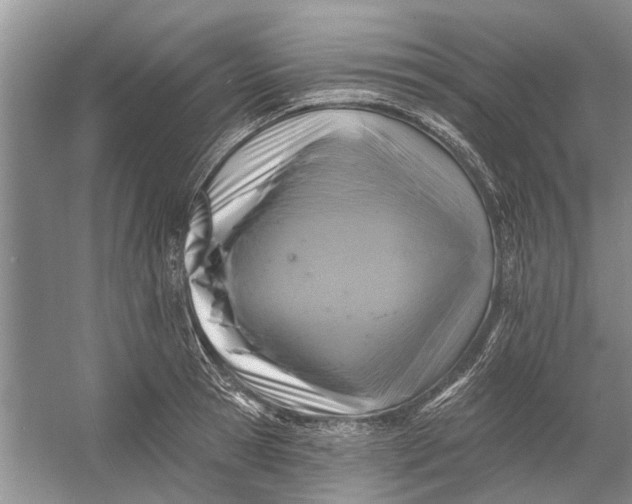 X0000054380945200508191909