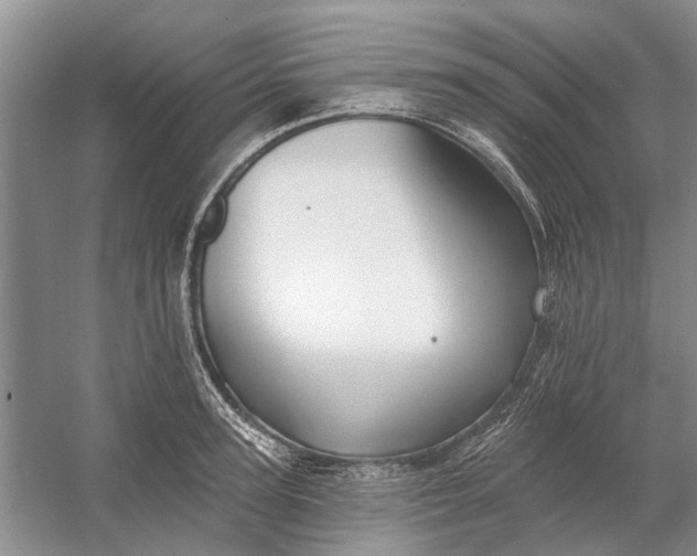 X0000054380947200508191909