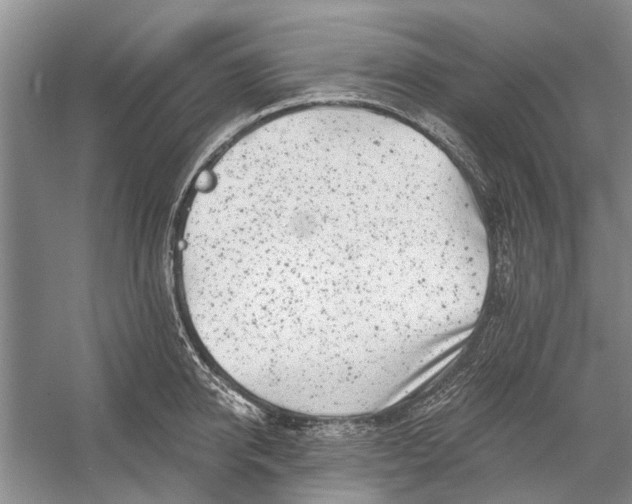 X0000054380950200508191909