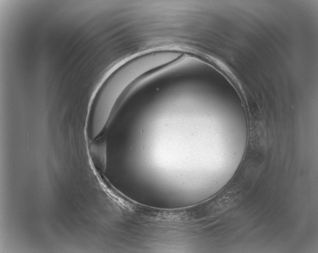 X0000054380951200508191909