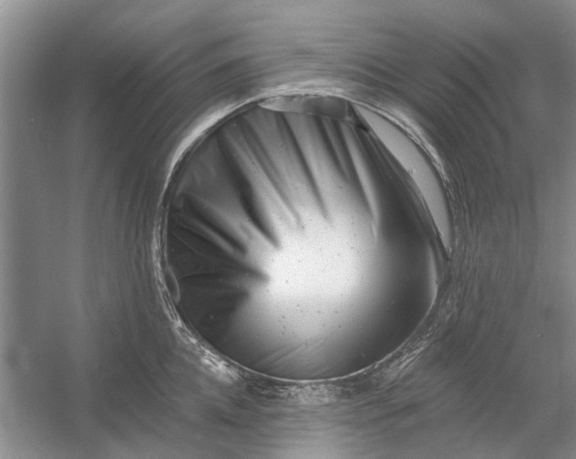 X0000054380952200508191909