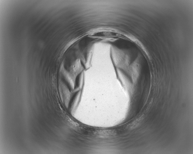 X0000054380953200508191909