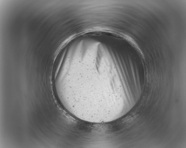 X0000054380954200508191909