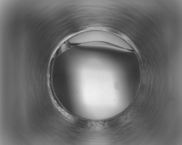 X0000054380955200508191909