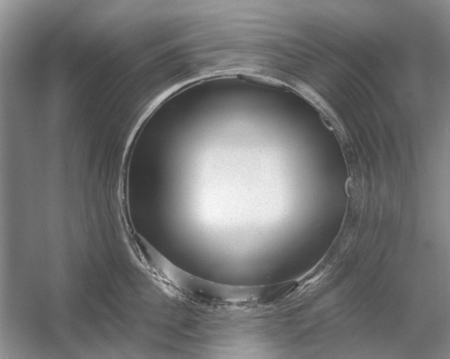 X0000054380956200508191909