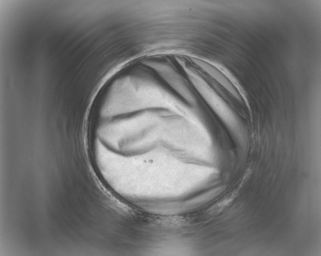 X0000054380957200508191909