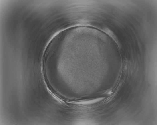 X0000054380958200508191909