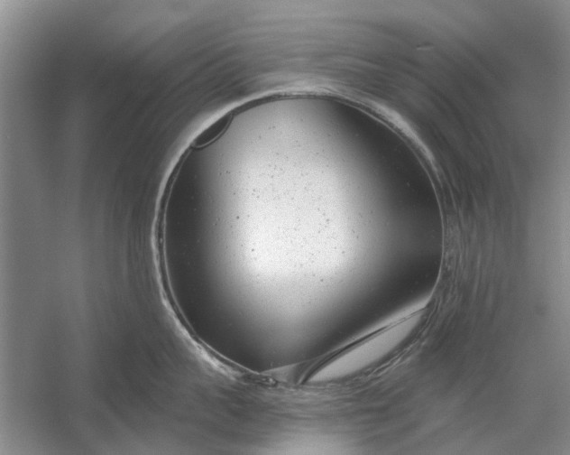 X0000054380959200508191909