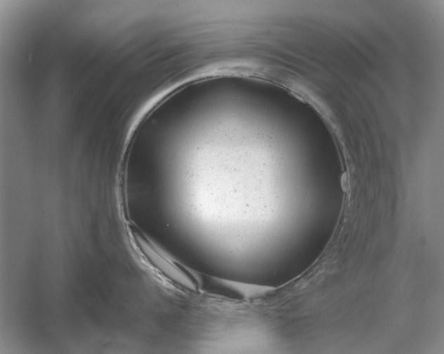 X0000054380960200508191909