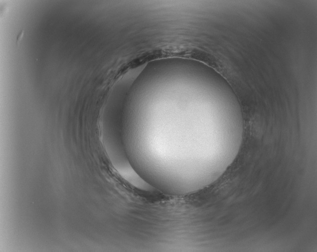 X0000054380961200508191908