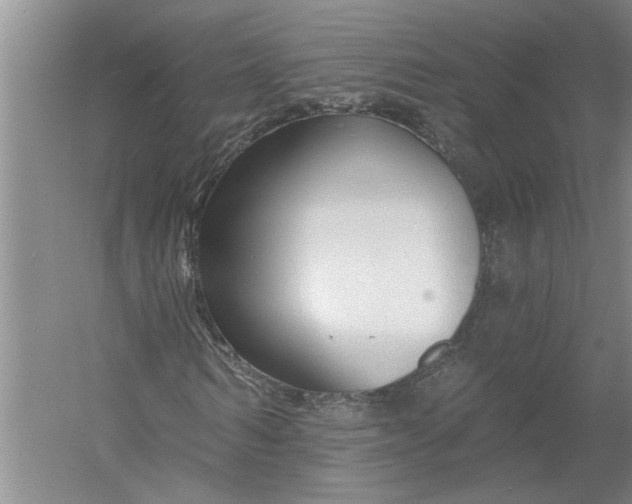 X0000054380962200508191908