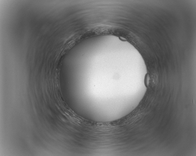 X0000054380964200508191908