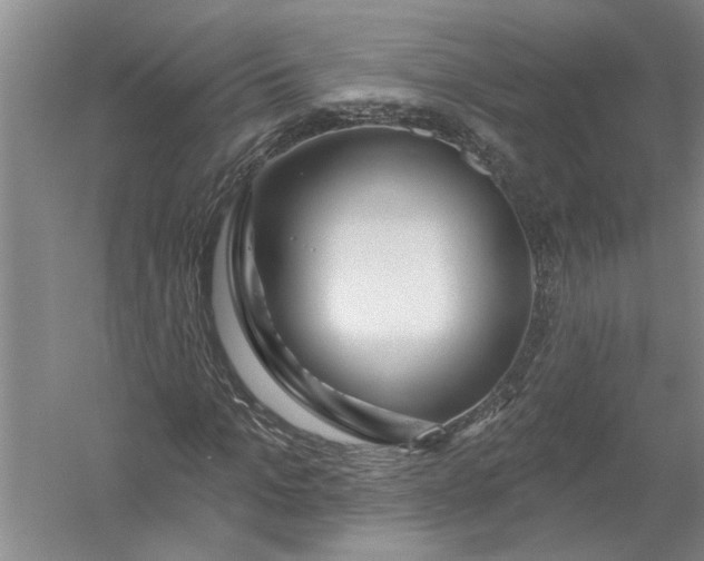 X0000054380965200508191908