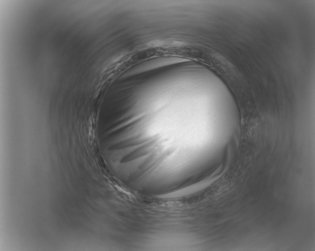 X0000054380966200508191908