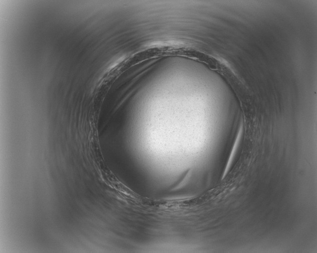 X0000054380967200508191908