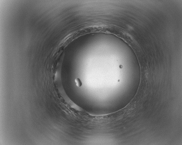 X0000054380968200508191908