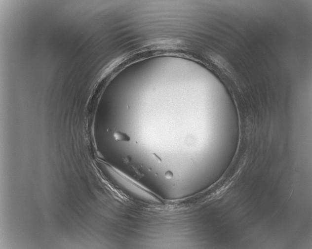 X0000054380970200508191908