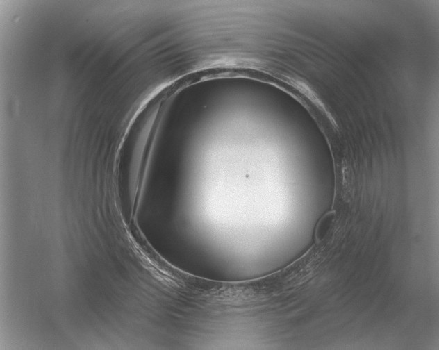 X0000054380972200508191908