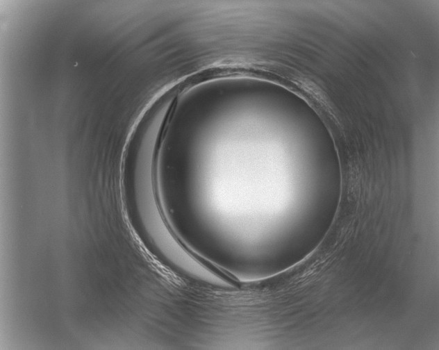 X0000054380976200508191908