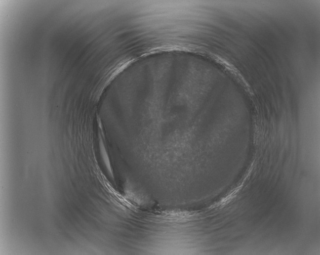 X0000054380977200508191908