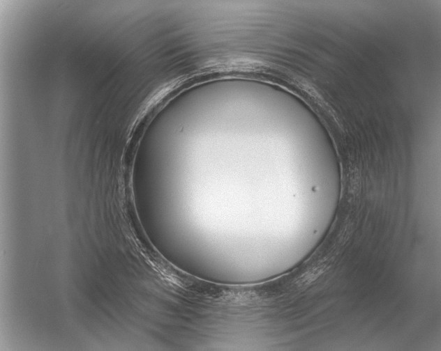 X0000054380978200508191908