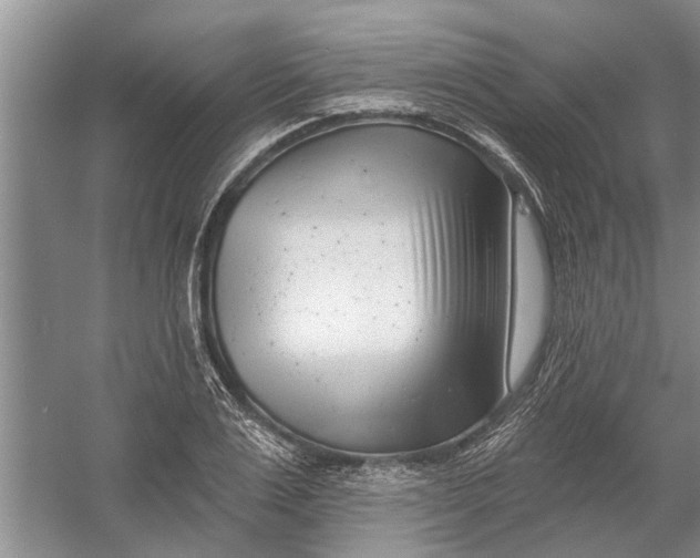 X0000054380983200508191908