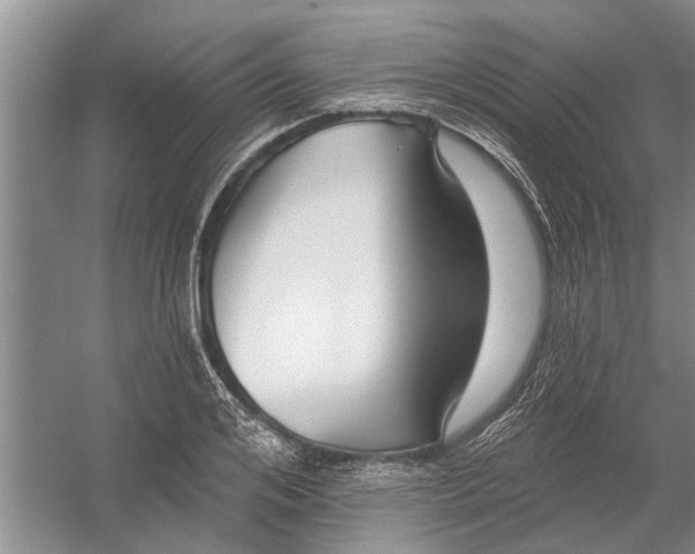 X0000054380984200508191908