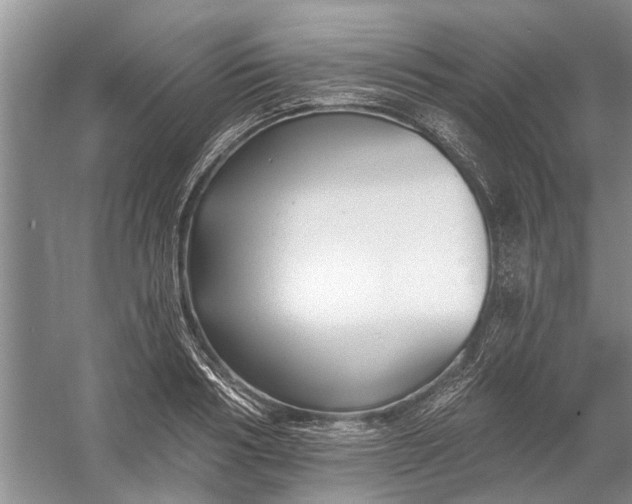 X0000054380986200508191908