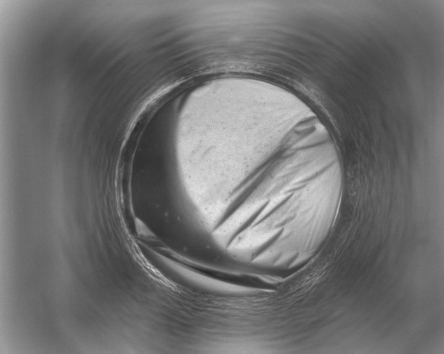 X0000054380987200508191908