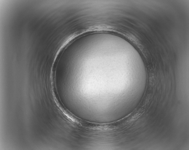 X0000054380990200508191908