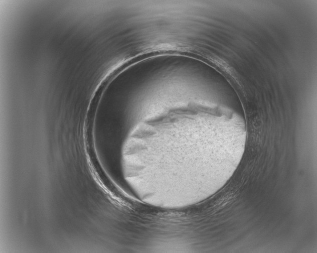 X0000054380991200508191908